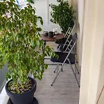 Apartment Arthaus Gallery *